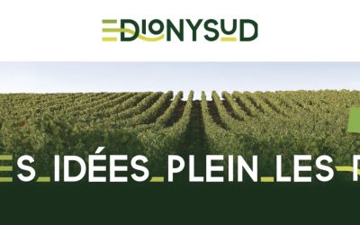 DIONYSUD 3/4/5 NOVEMBRE 2026